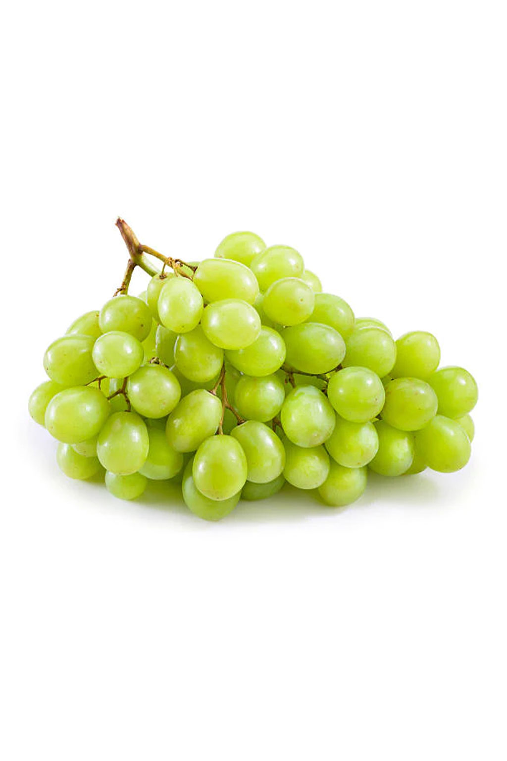 IMG-PRODUCT